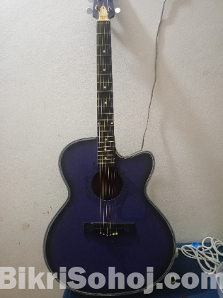 Giveson guiter low prize